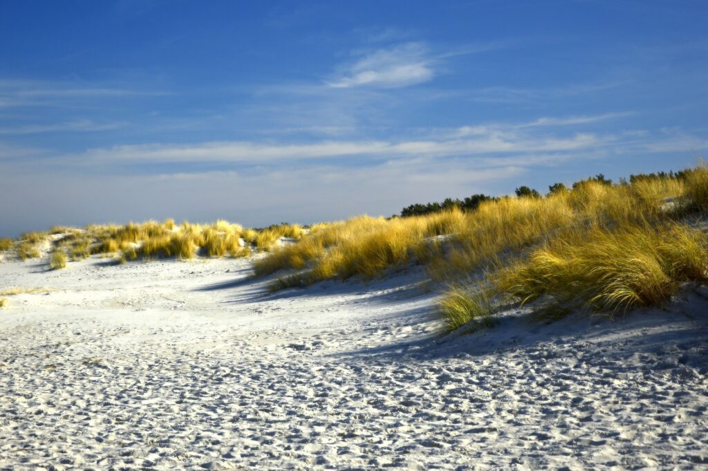 duinlandschap