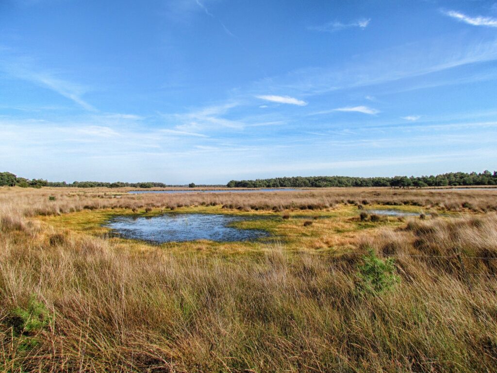 natuurgebied in Nederland