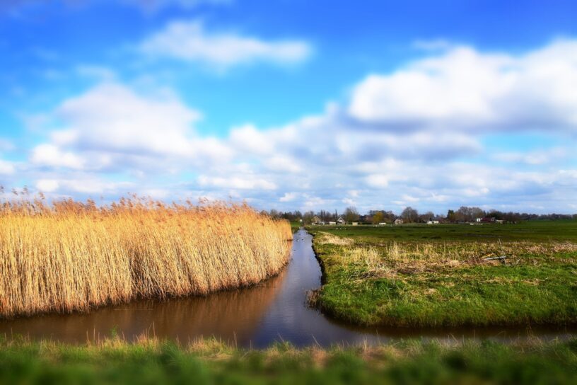 Noord-Hollands landschap