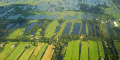 Nieuwkoopse Plassen