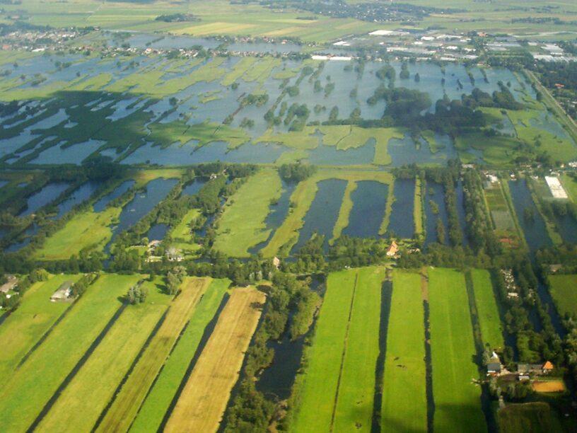 Nieuwkoopse Plassen