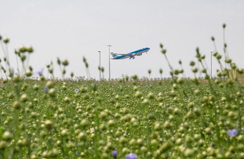 Schiphol
