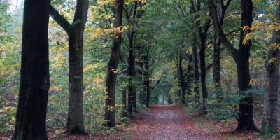 Veluwe