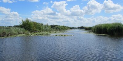 natuur