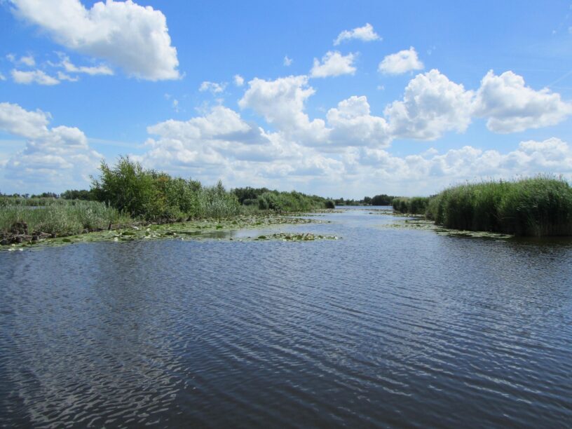 natuur