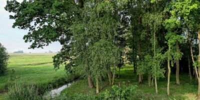 natuur