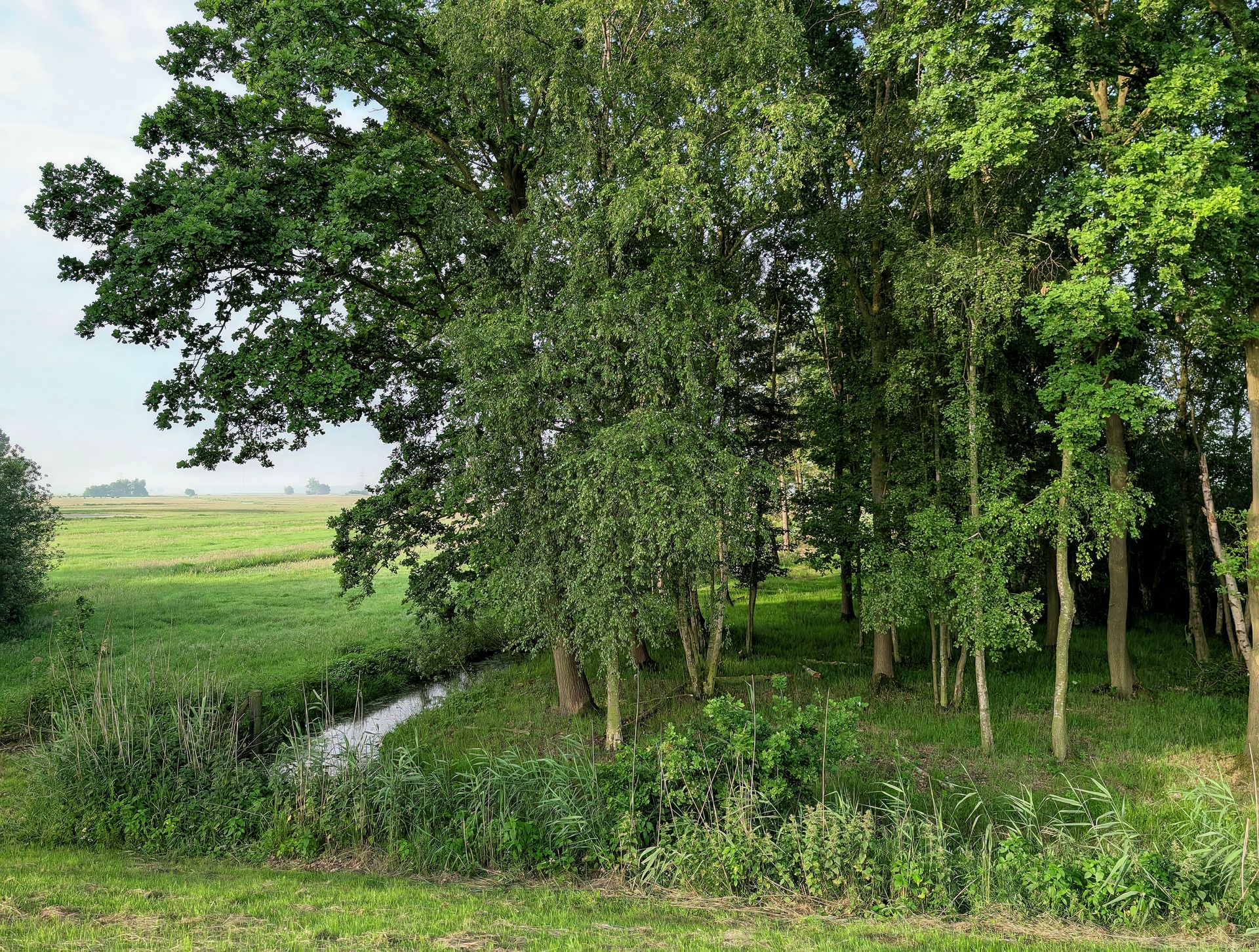 Geheime natuurwaarschuwing zet nieuw Schipholbesluit op losse schroeven